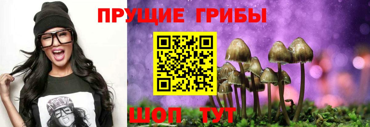 дарнет шоп  Вход с VPN  Чапаевск  Псилоцибиновые грибы Magic Shrooms 